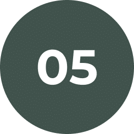 Step 5