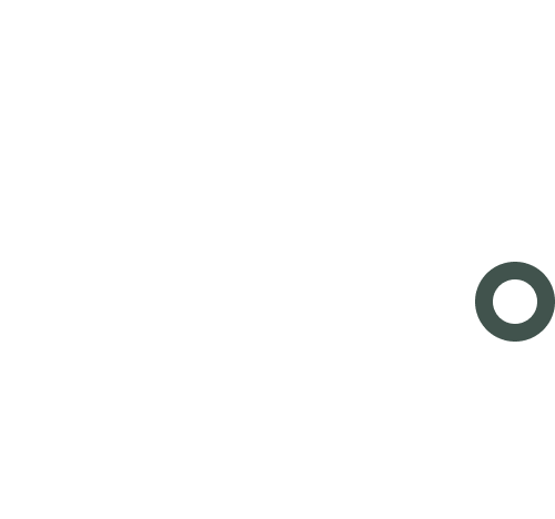 Dental bridges
